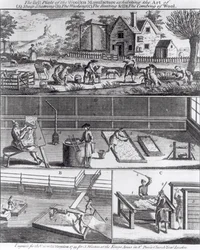 Die erste Platte der Wollmanufaktur zeigt die Kunst des (A) Schafschurens (B) Waschens (C) Schlagens und (D) Kämmens der Wolle, graviert für das Universal Magazine, 1749